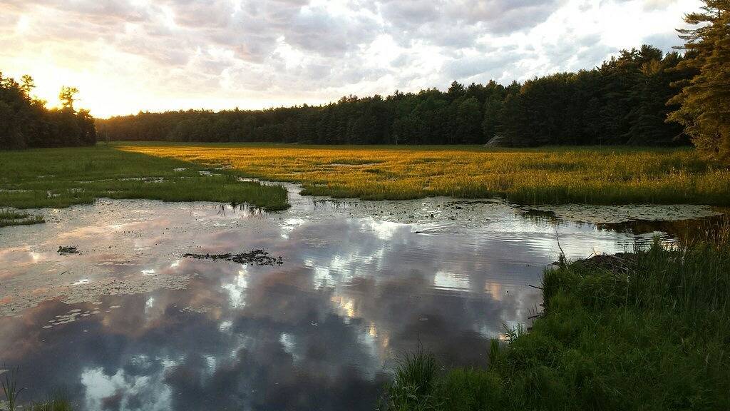 Naturparadies 25 Minuten zum Casino Rama. Holzrahmen, Whirlpool und Sauna. in Huronsee (Kanada)