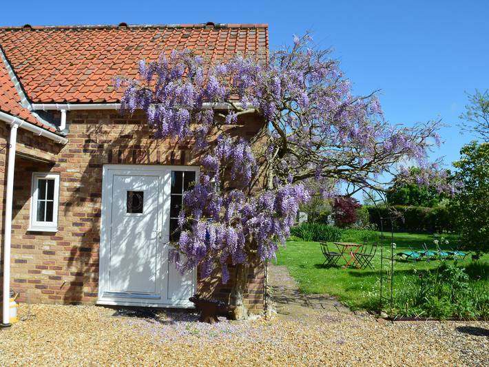 Cottage for 4 people, with pets - 1