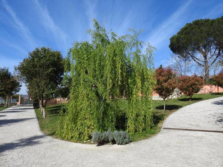 Ferienwohnung für 5 Personen, mit Whirlpool und Garten sowie Ausblick in Fara in Sabina - 2