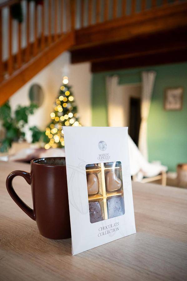 Location de vacances pour 3 personnes, avec sauna ainsi que jardin et jacuzzi à Loubès-Bernac - 3