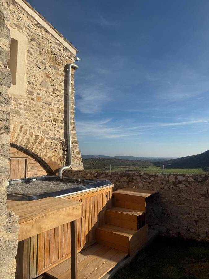 Location de vacances pour 8 personnes, avec jardin et balcon ainsi que jacuzzi et piscine à Montbazin - 2