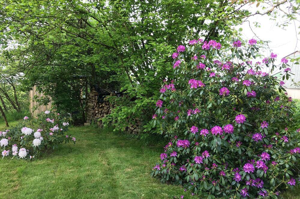 Small house in the heart of the Brocéliande forest, very quiet in Paimpont, Rennes und Umgebung