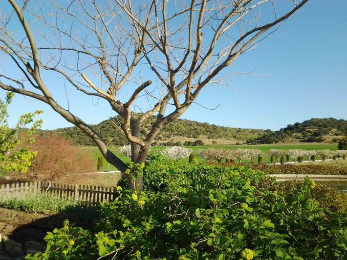 Casa rural para 4 personas, con vistas y jardín en Provincia de Castellón - 4