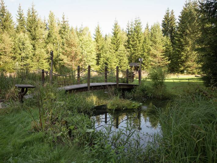 Ferienhaus für 8 Personen, mit Garten und Pool sowie Sauna im Vogtland