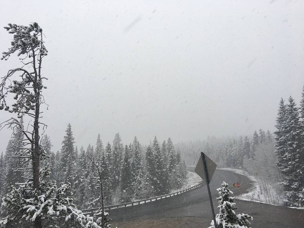 Familien - und tierfreundlich in Arapaho and Roosevelt National Forests