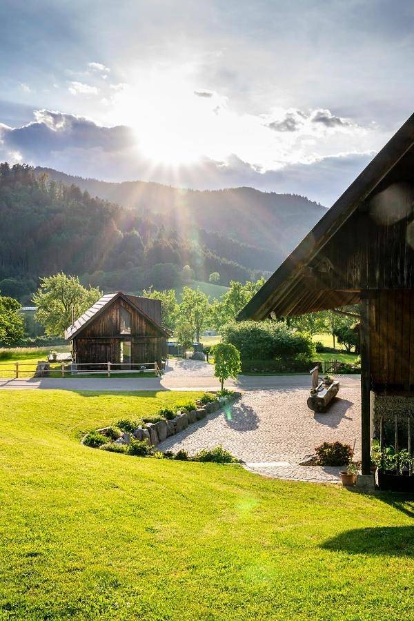 Location de vacances pour 4 personnes, avec jardin ainsi que vue et piscine dans Gutach - 2