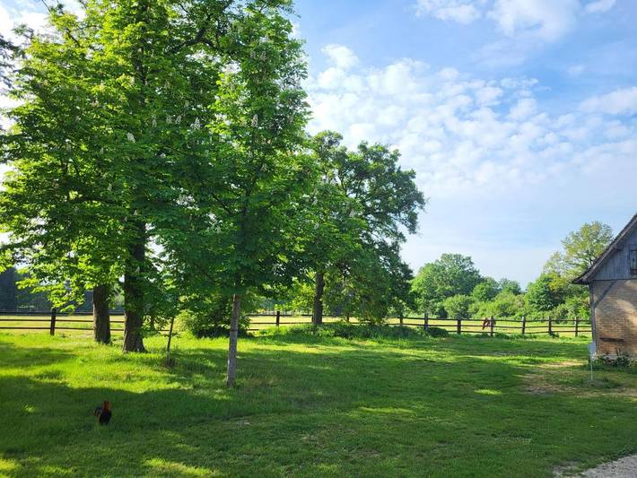 Location de vacances pour 10 personnes, avec jardin ainsi que vue et terrasse à Moncé-en-Belin - 4