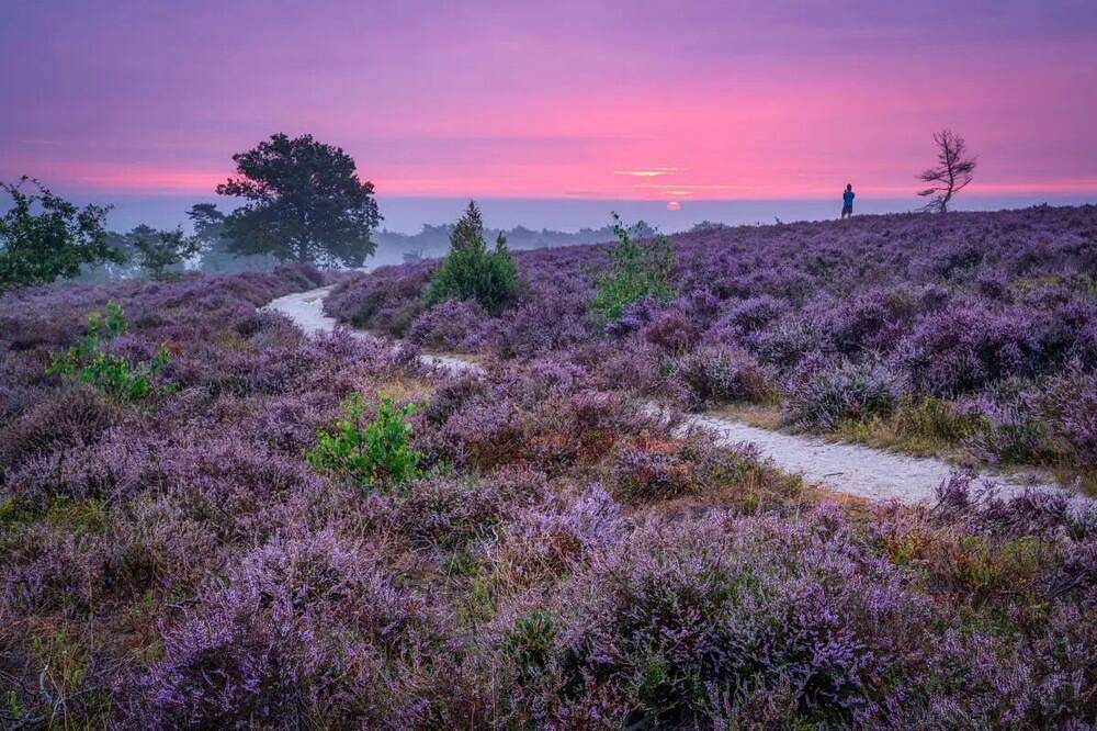 Ferienhaus Sallandse Heuvelrug, Hellendoorn, Zwolle im Natur mit Luxe Hottub in Sallandse Heuvelrug