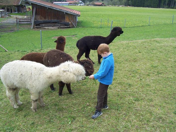 Neunerhof - Doppelzimmer Nr. 5 in Bad Bayersoien, Landkreis Garmisch-Partenkirchen
