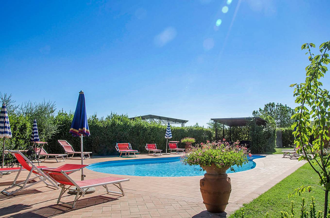 Il Cielo in Terra: Il Podere in Alberi, Chianti