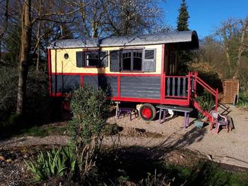 Gîte pour 4 personnes, avec piscine et jardin, animaux acceptés dans le Cher