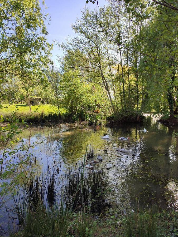 Chambre d’hôte pour 2 personnes, avec piscine et vue ainsi que terrasse et jardin, animaux acceptés en Pyrénées-Atlantiques - 3