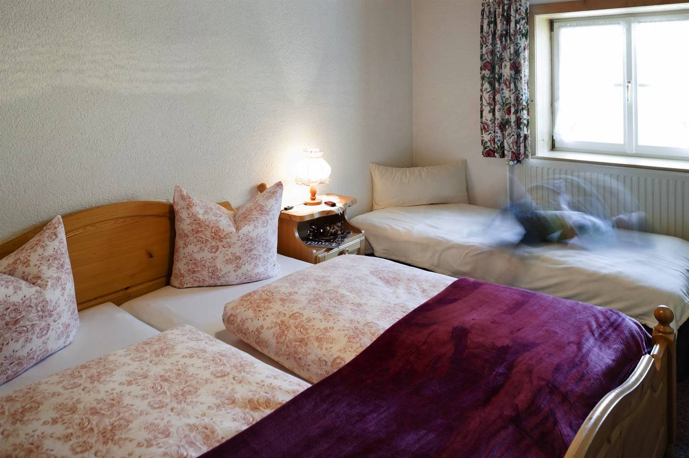 Ganze Ferienwohnung, Appartement groß in Wald am Arlberg, Dalaas