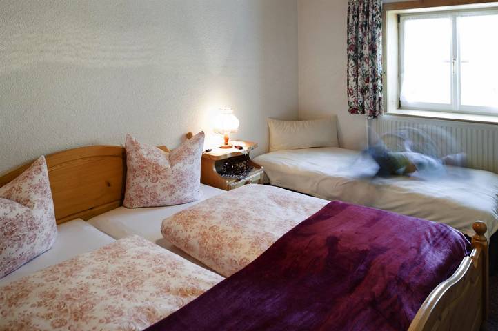 Ganze Ferienwohnung, Appartement groß in Wald am Arlberg, Dalaas