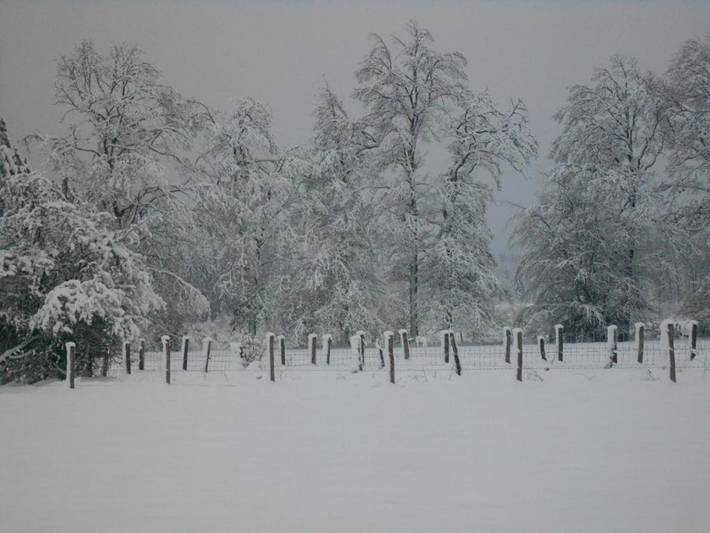 Gîte pour 4 personnes, avec vue et jardin, animaux acceptés à Rendeux - 3