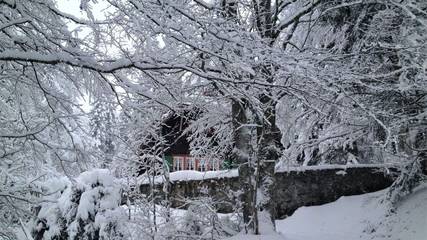 Chalet für 11 Personen in Suedlicher Schwarzwald, Feldberg, Bild 1