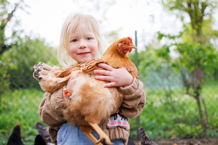 Bauernhof für 6 Personen, mit Garten im Altmühltal - 3