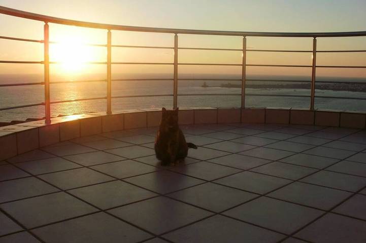 Vakantiehuis voor 8 personen, met zwembad en tuin - 1