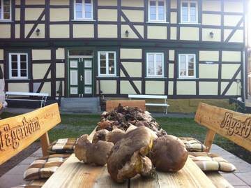 Ferienhaus für 14 Personen in Tanne, Ostharz, Bild 1