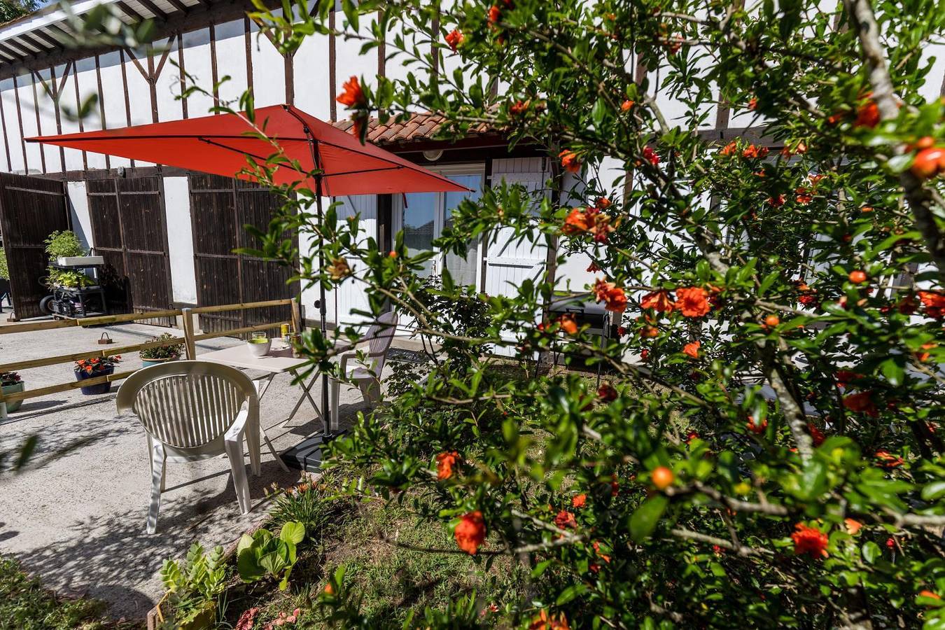 La Resiniere in Hinx (Landes), Région de Dax