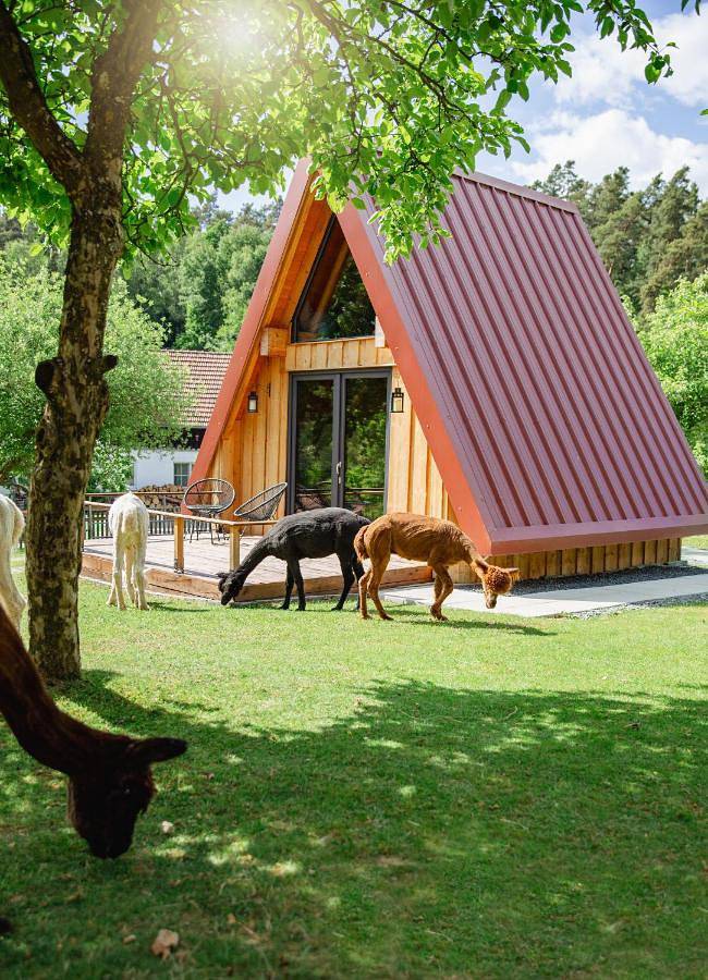 Ferienhaus für 3 Personen, mit Balkon und Terrasse sowie Garten und Ausblick