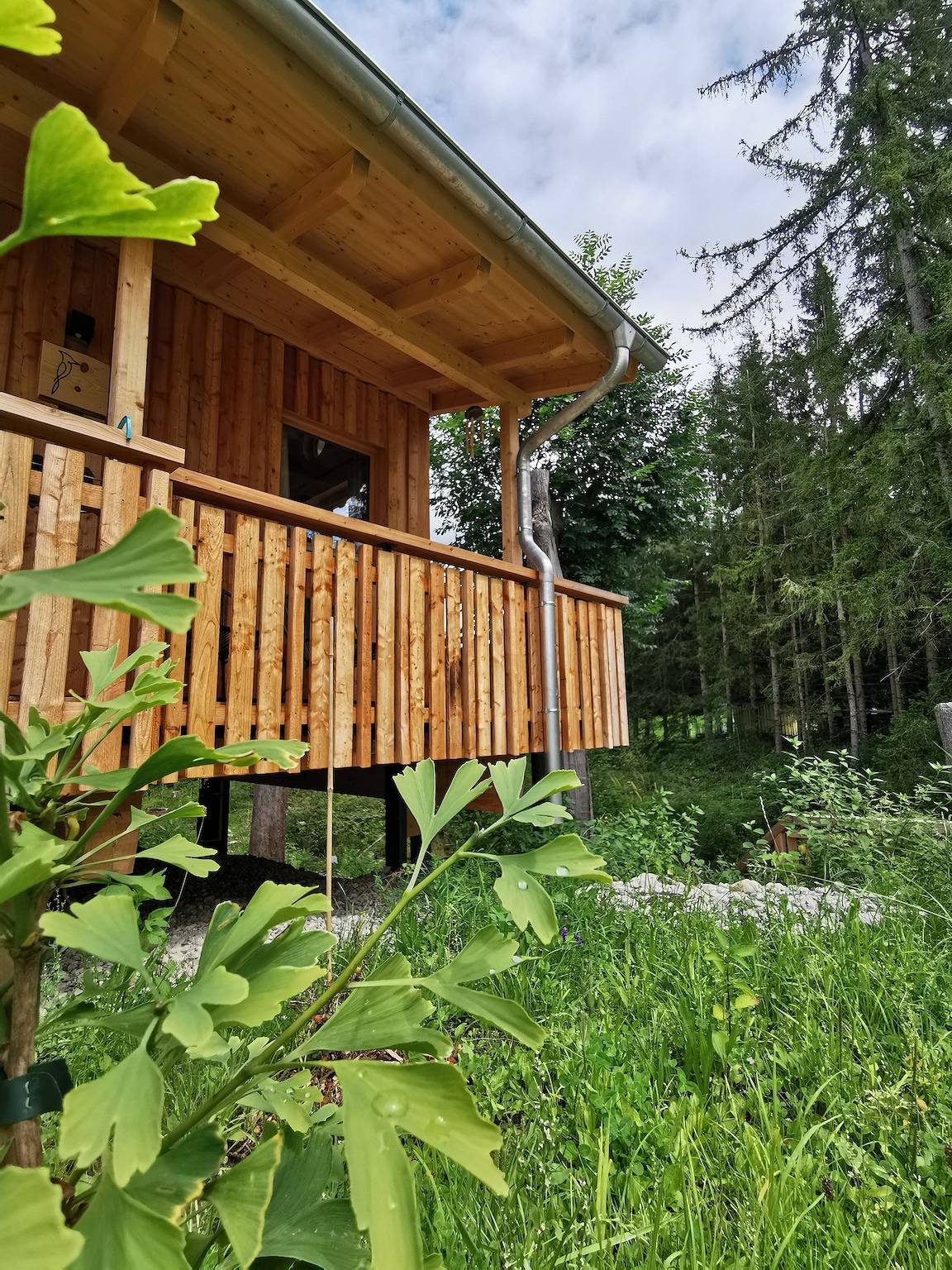 Wald ist Zukunft [Baumhaus Specht] in Bernbeuren, Romantische Straße