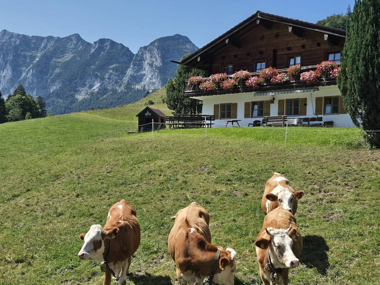 Ganze Ferienwohnung, Klettnerlehen Ferienwohnung - Ferienwohnung 1, 1-2 Personen, 38 qm, Dusche/Wc, Balkon, Tv,  Wohnschlafzimmer in Ramsau bei Berchtesgaden, Berchtesgadener Alpen