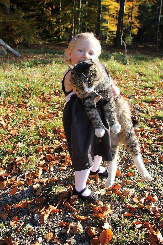 Ferienhaus für 6 Personen, mit Garten, kinderfreundlich in Landkreis Freyung-Grafenau - 4