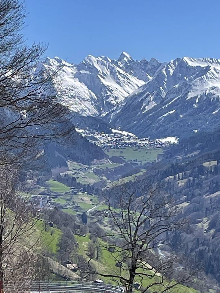 Chalet Fuchshalde - 4.5-Zimmerhaus für 8 Personen, 115qm in Luzein, Plessur alps