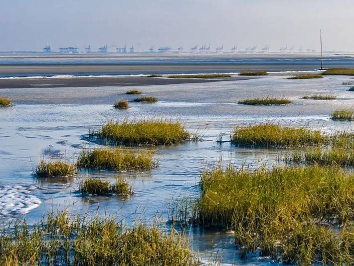 Ferienpark für 6 Personen, mit Garten und Pool, mit Haustier am Jadebusen - 4
