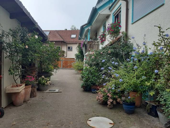 Ganze Wohnung, Apartment '1' mit Balkon und WLAN in Herbolzheim, Südschwarzwald