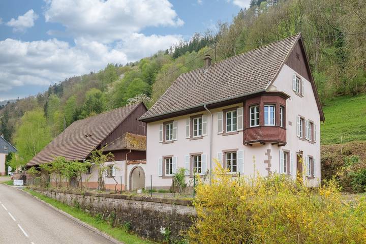 Ferienhaus für 12 Personen, mit Garten im Elsass - 4