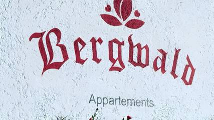 Apartament Wakacyjny dla 2 osoby w Alpbach, Ski Juwel Alpbachtal Wildschönau, Zdjęcie 4