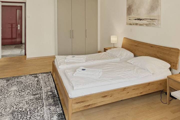 Ganze Wohnung, Amazing 2Br flat: spacious and central (Duke2) in Zürich, Bezirk Zürich