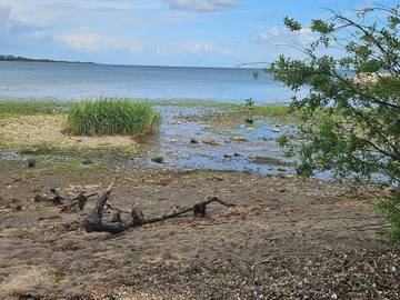Ferieudlejning til 8 Personer i Løjt, Aabenraa, Billede 2