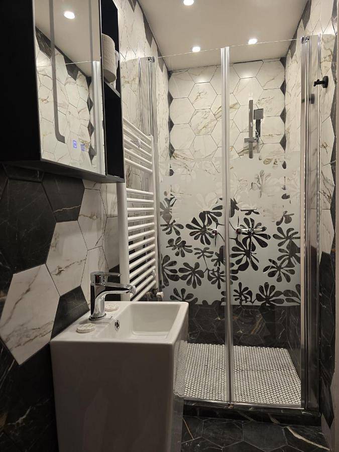 Chambre d’hôte pour 2 personnes, avec jacuzzi et jardin à Bucarest - 3