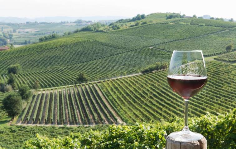 Maison de campagne pour 2 personnes, avec jardin ainsi que vue et piscine à Nizza Monferrato - 3