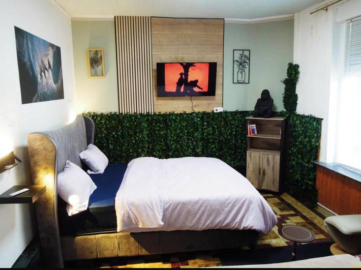 Gîte pour 3 personnes, avec jardin et vue dans Montignies Sur Sambre - 4