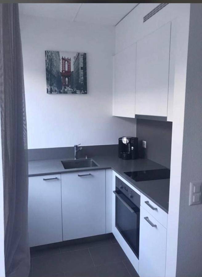 Appartement entier, Logement super à côté du Jet et de la Gare in Genève Secteur de dist., Genève