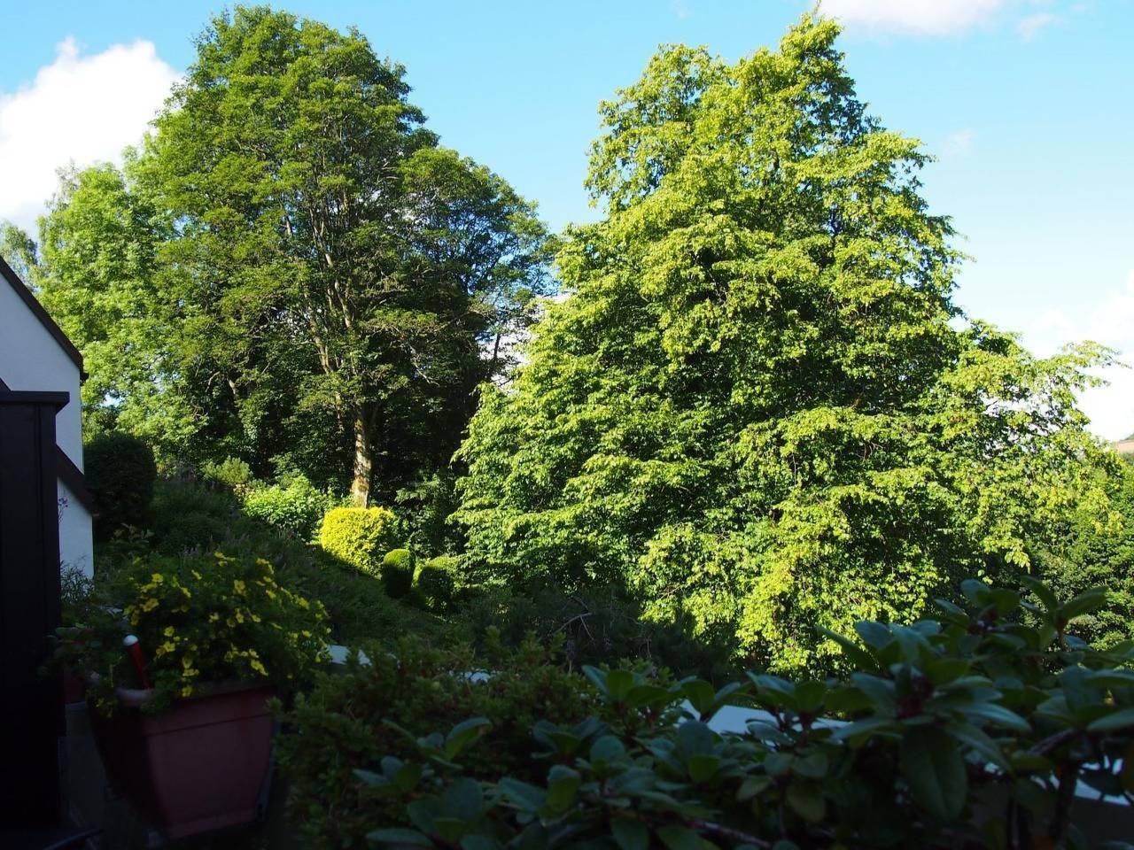 Charming apartment with balcony, Bbq & free Wifi. Pets welcome!, foto 12