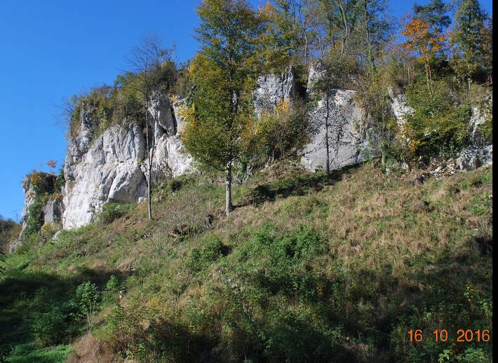 Ganze Ferienwohnung, Ferienwohnung Resch Schweinberg - Ferienwohnung Resch, 53 qm mit Balkon und einem separaten Schlafzimmer in Oberaudorf, Landkreis Rosenheim