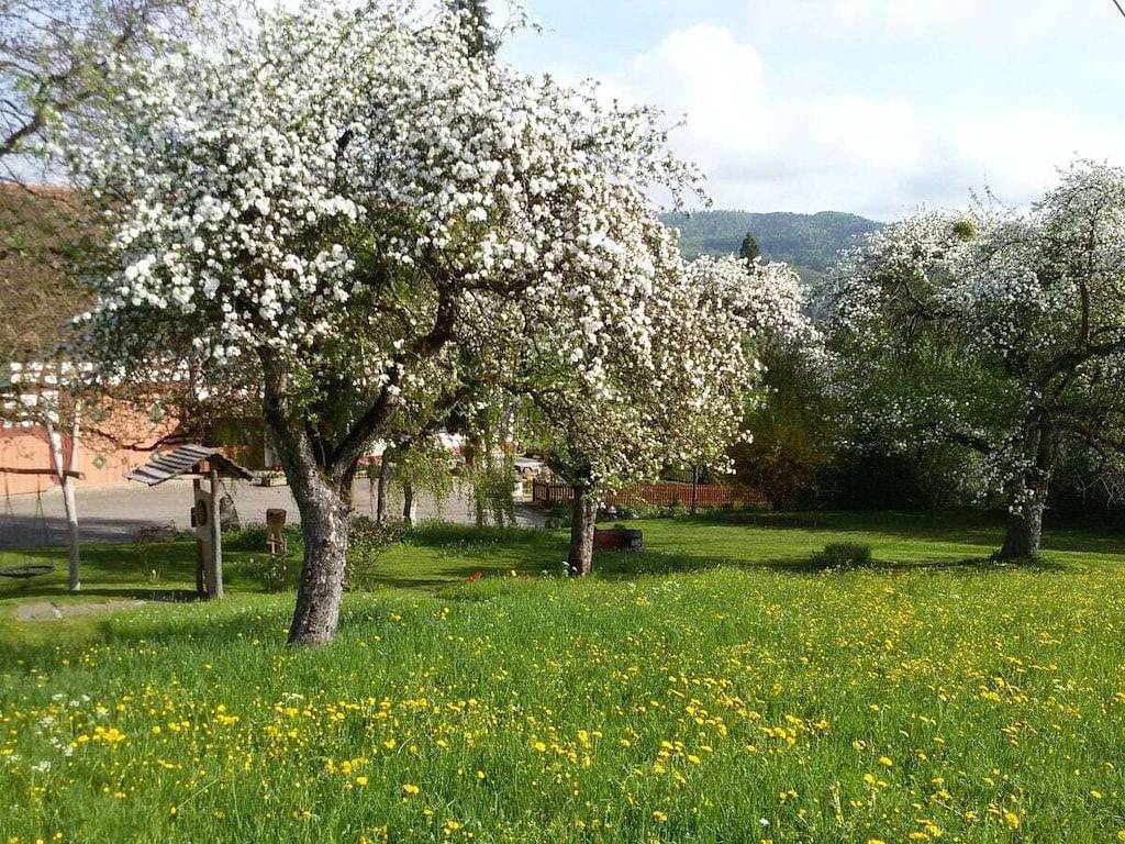 Ferienwohnung mit 2 Schlafzimmer in Owingen, Region Bodensee-Oberschwaben