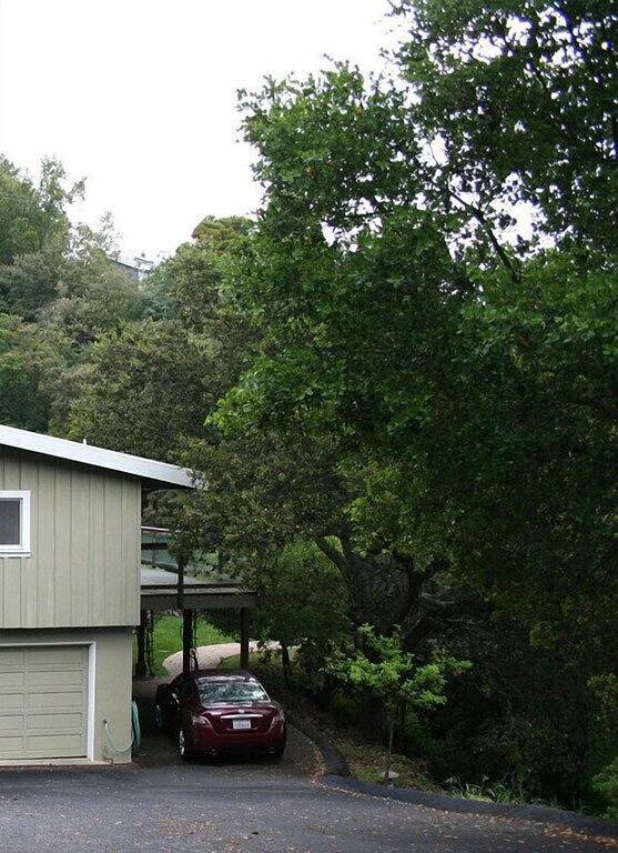 Wunderschönes, abgelegenes Cottage mit Blick auf die Bucht in den Bäumen in California North Coast