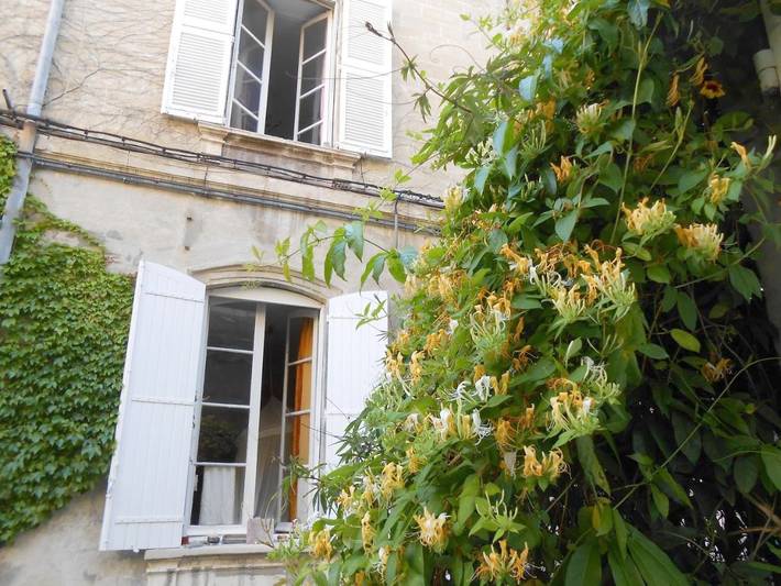 Maison d’hôte pour 2 personnes, avec jardin et vue à Avignon - 4