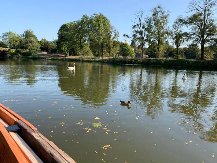 Bateau pour 4 personnes, avec vue et terrasse dans les Pays de la Loire - 3