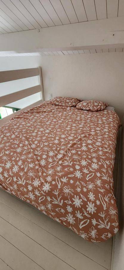 Gîte pour 4 personnes, avec terrasse à La Roche-sur-Yon - 4