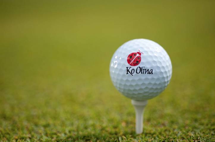 Vacation rental for 6 people, with sauna and pool as well as hot tub and balcony in Ko Olina