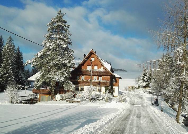 Ferienwohnung für 5 Personen, mit Balkon und Balkon/Terrasse sowie Terrasse in Titisee-Neustadt - 2