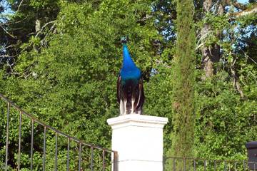 Maison De Vacances pour 4 Personnes dans Montagudet, Tarn-et-Garonne, Photo 3