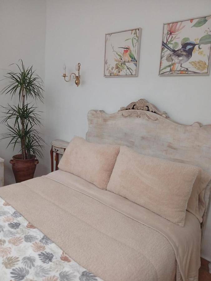 Casa rural para 6 personas, con jardín en Campo de Montiel